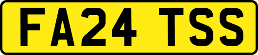 FA24TSS