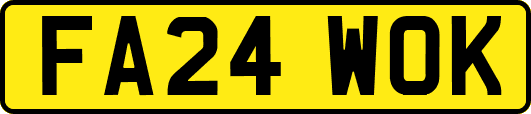 FA24WOK