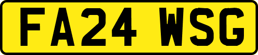 FA24WSG