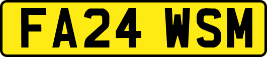 FA24WSM