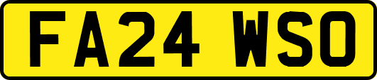 FA24WSO