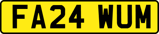 FA24WUM