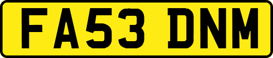 FA53DNM