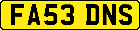FA53DNS