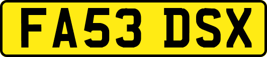 FA53DSX