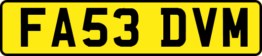 FA53DVM