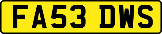FA53DWS