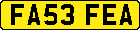 FA53FEA