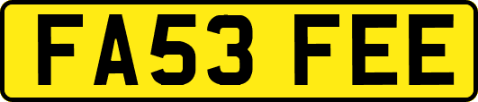FA53FEE