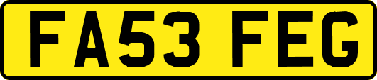 FA53FEG