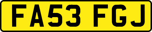 FA53FGJ
