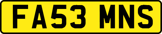 FA53MNS