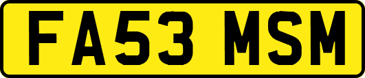 FA53MSM