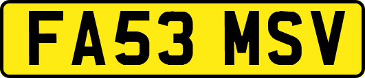 FA53MSV