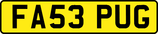 FA53PUG
