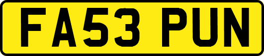 FA53PUN