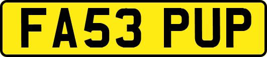FA53PUP