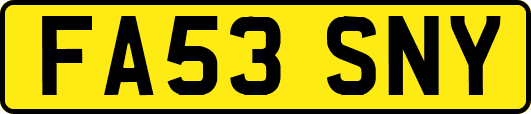FA53SNY