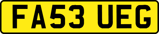 FA53UEG