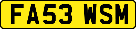 FA53WSM