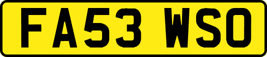 FA53WSO