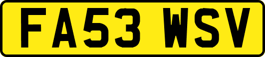 FA53WSV