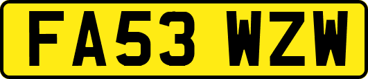 FA53WZW