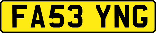 FA53YNG