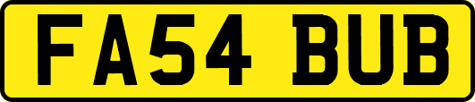 FA54BUB