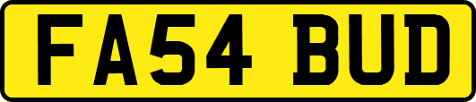 FA54BUD