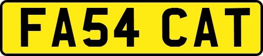 FA54CAT