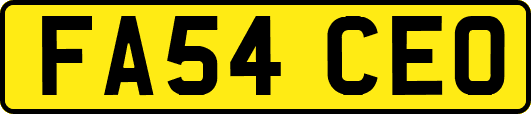 FA54CEO