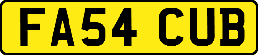 FA54CUB