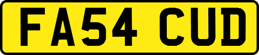 FA54CUD