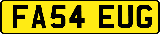 FA54EUG