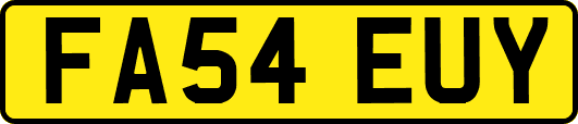 FA54EUY