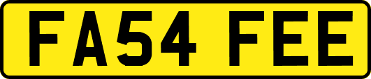 FA54FEE