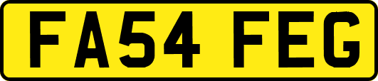 FA54FEG