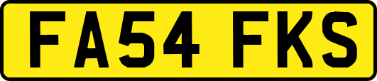 FA54FKS