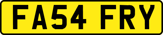 FA54FRY