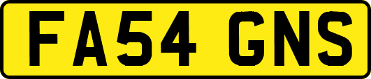 FA54GNS