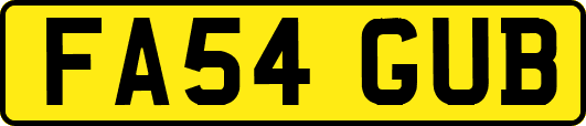 FA54GUB
