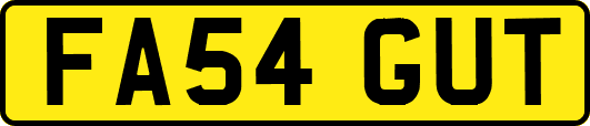 FA54GUT