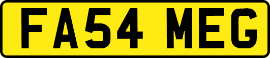 FA54MEG