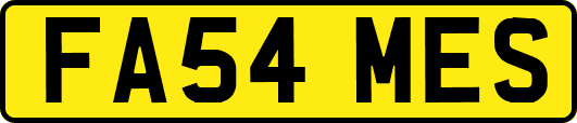 FA54MES