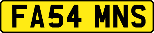FA54MNS