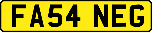 FA54NEG