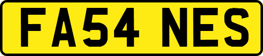 FA54NES