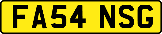 FA54NSG