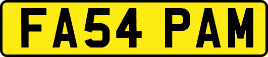 FA54PAM